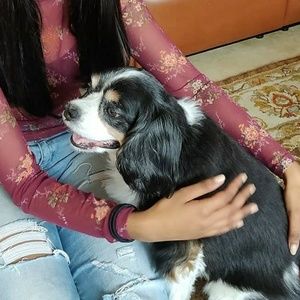 Meet your Posher, Ri